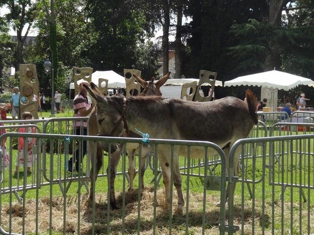 fete 2016 (127).jpg